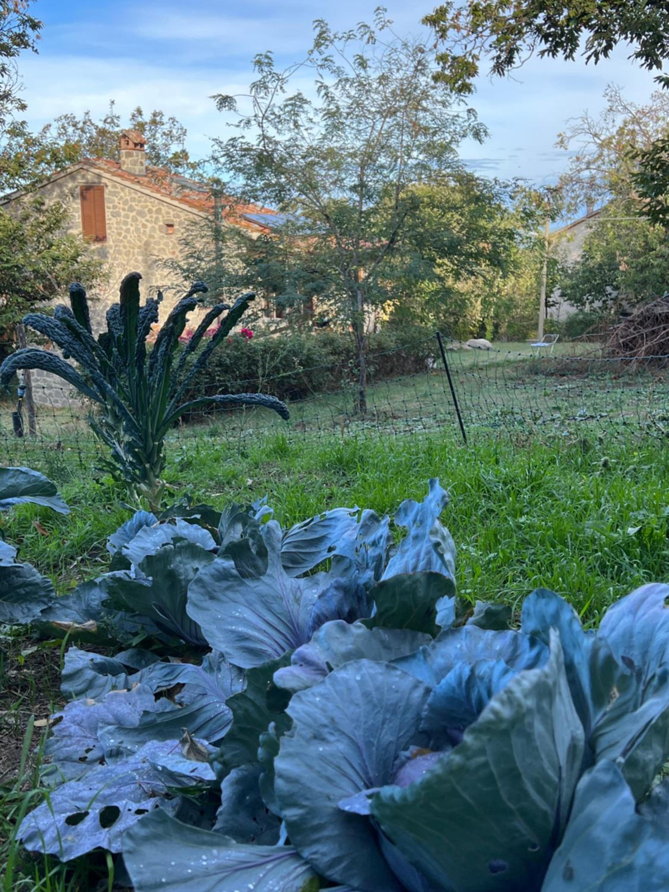 B&B Podere Legnotorto