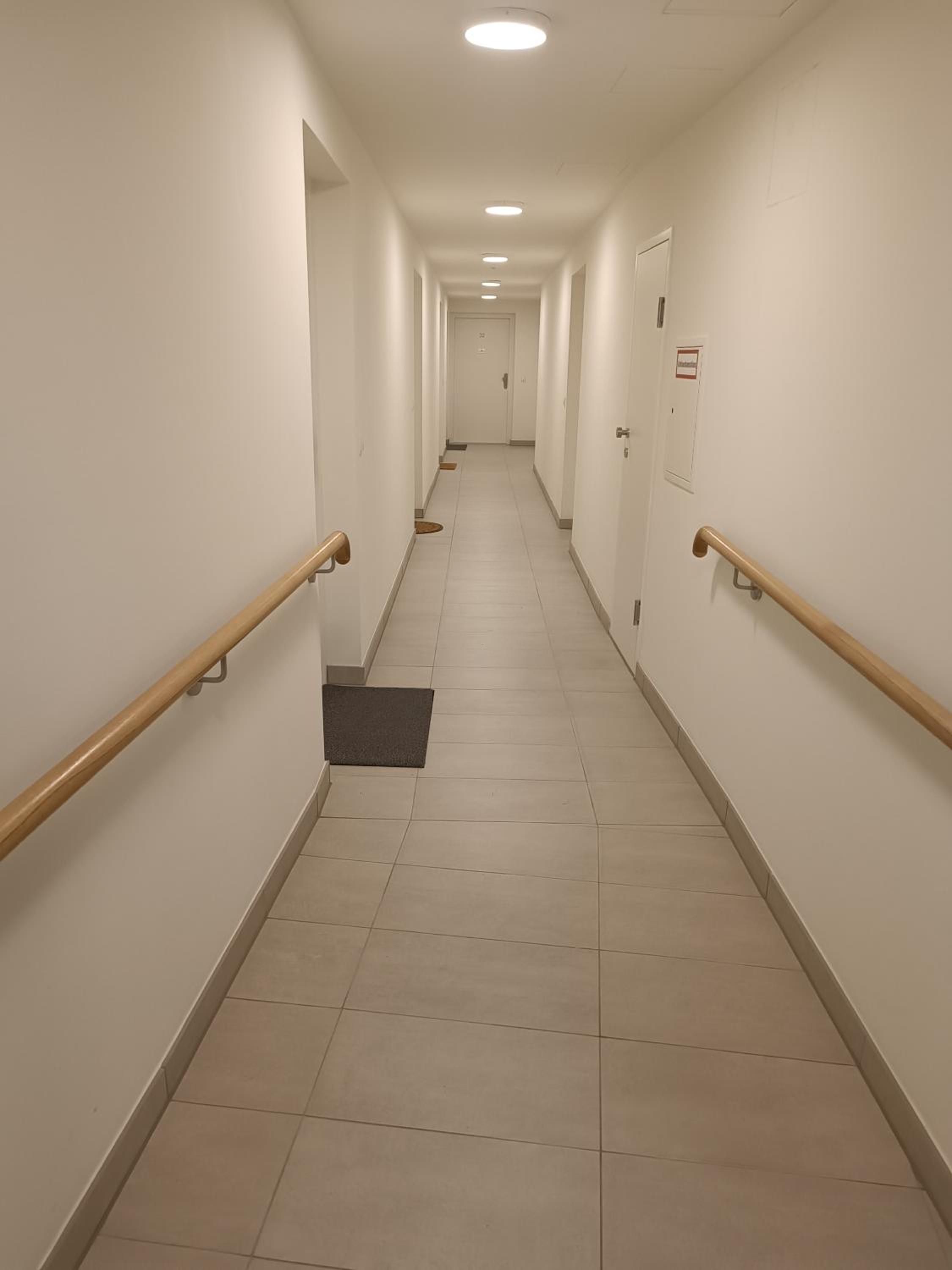 MollArt Apartment