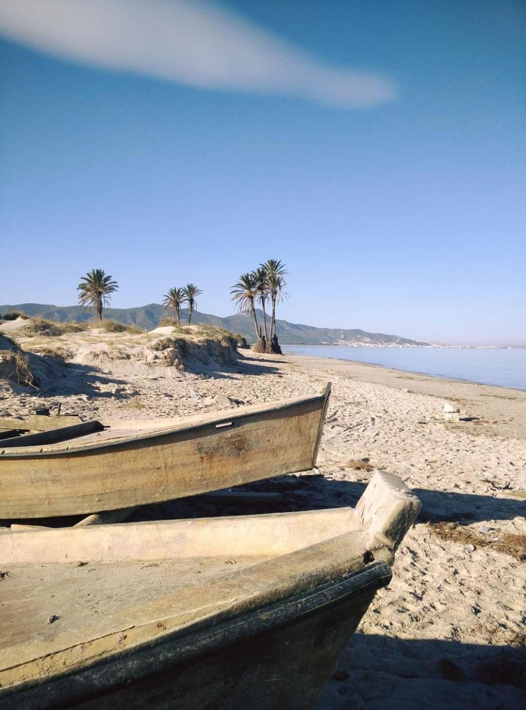 Photo 47