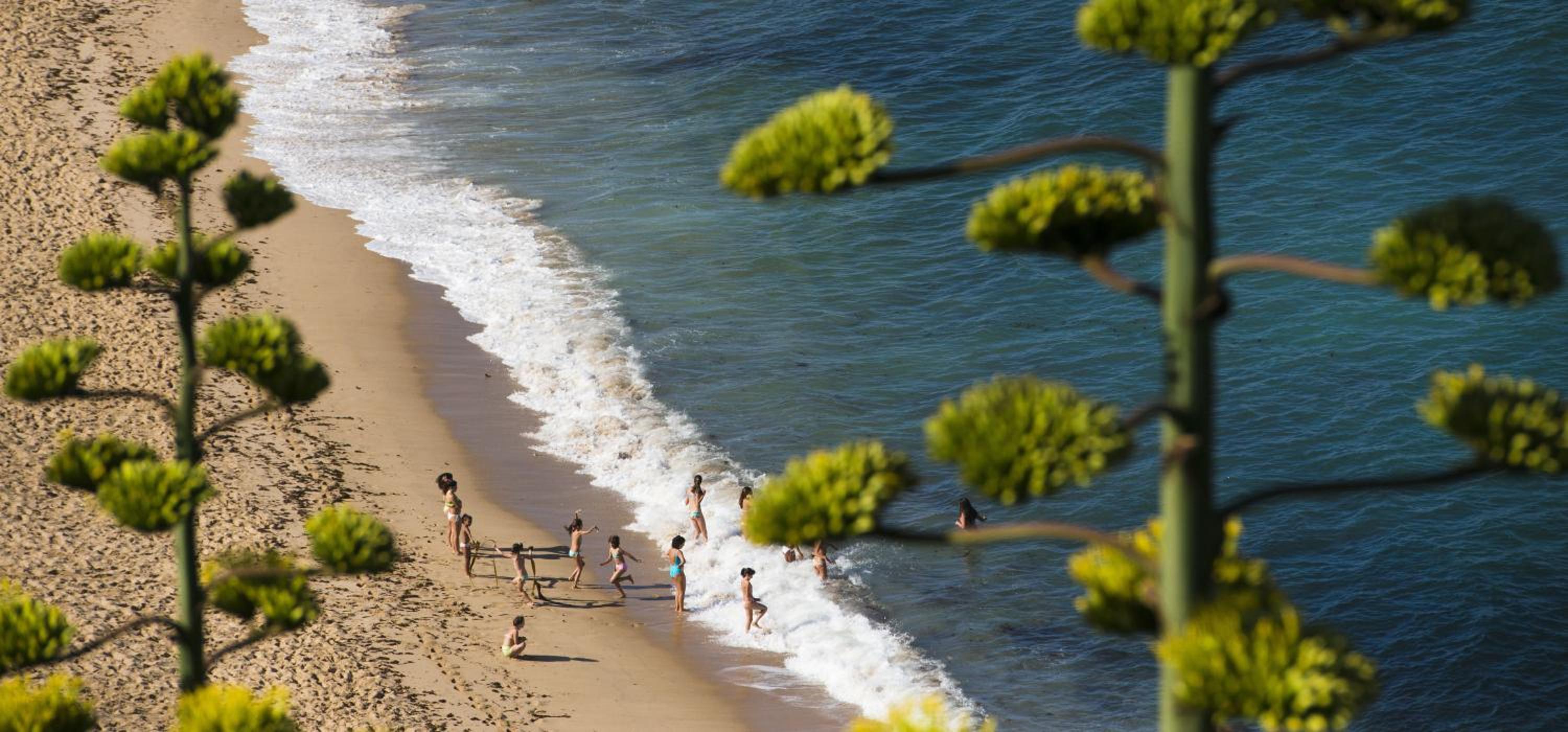 Laneez Ericeira Surf House