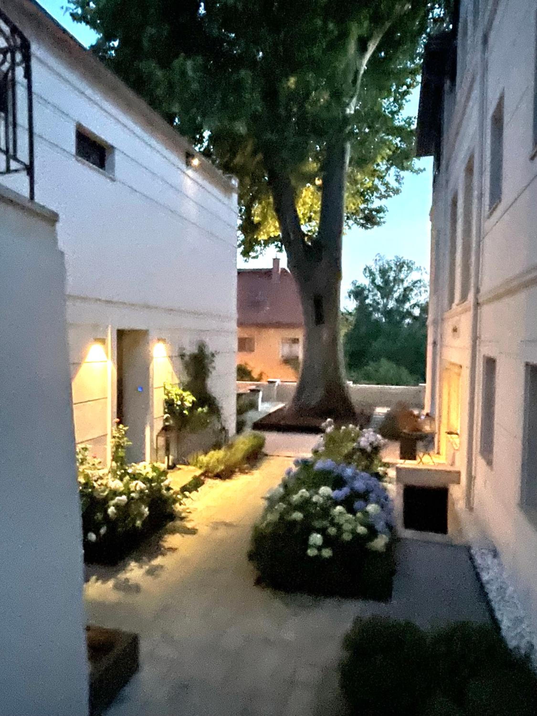 Dresden Vacations - Atelierhaus in Dresden Loschwitz - Property Image 23