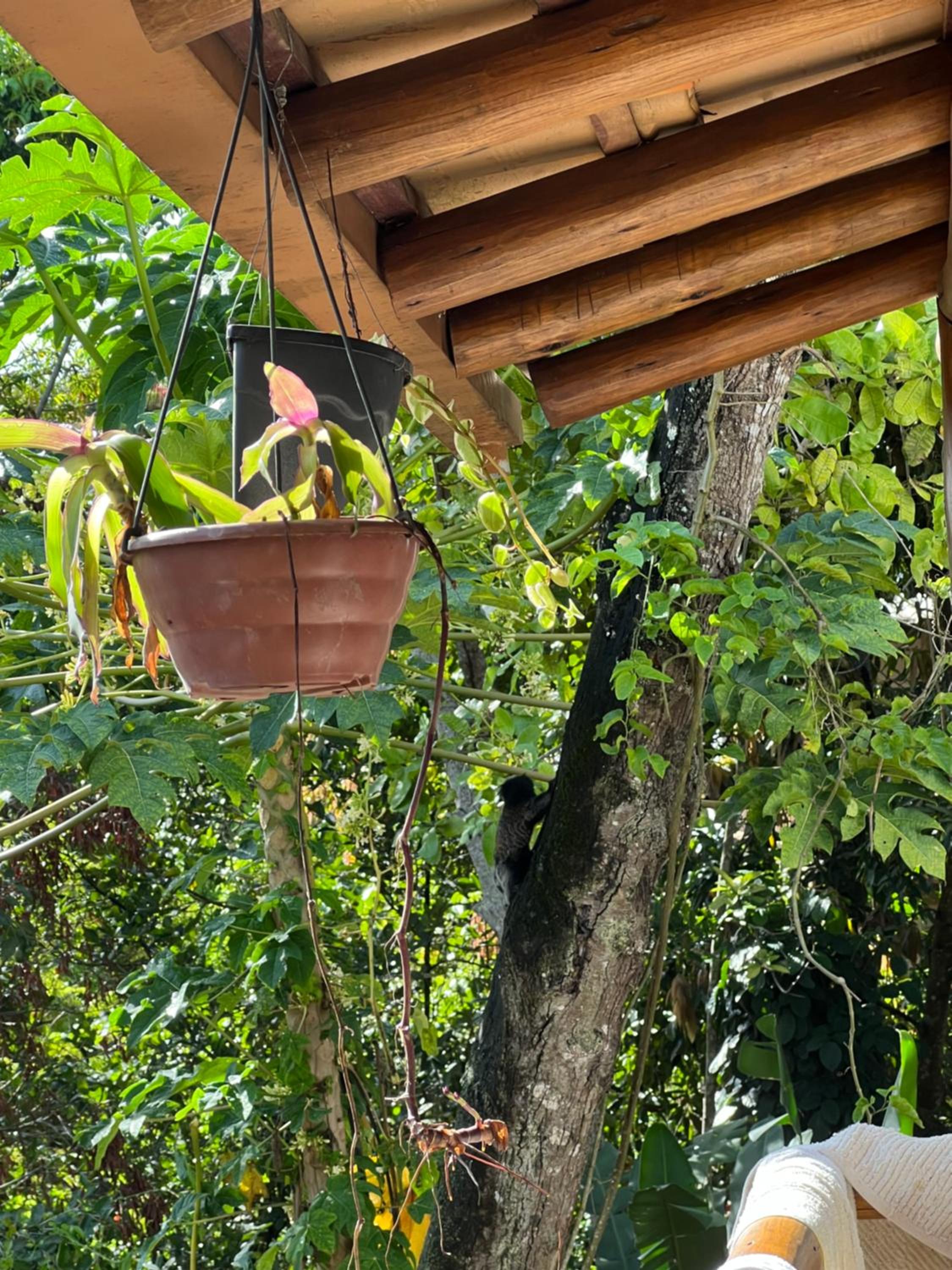 Locanda Ariramba