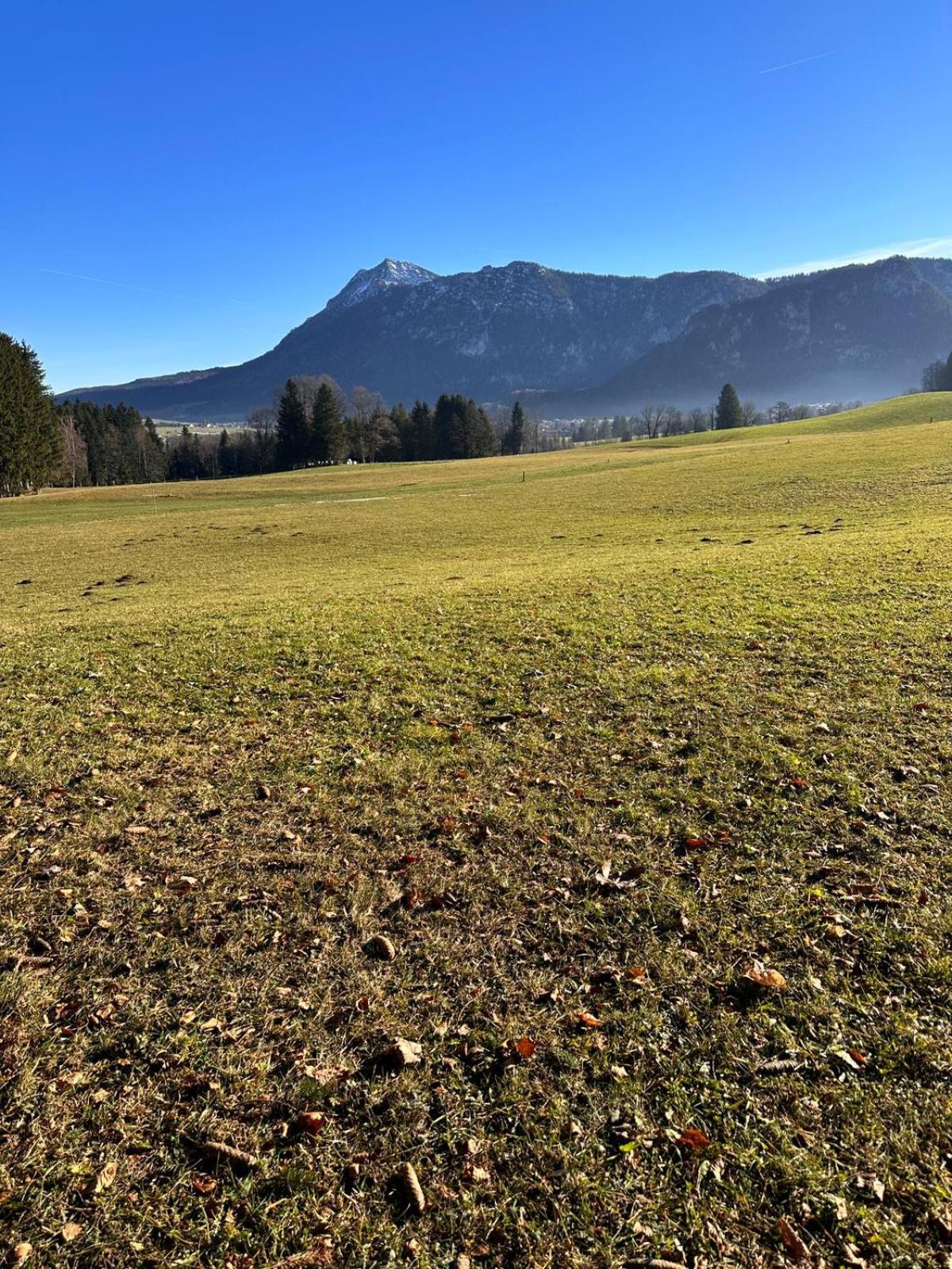 Chiemgauer Alpenglück