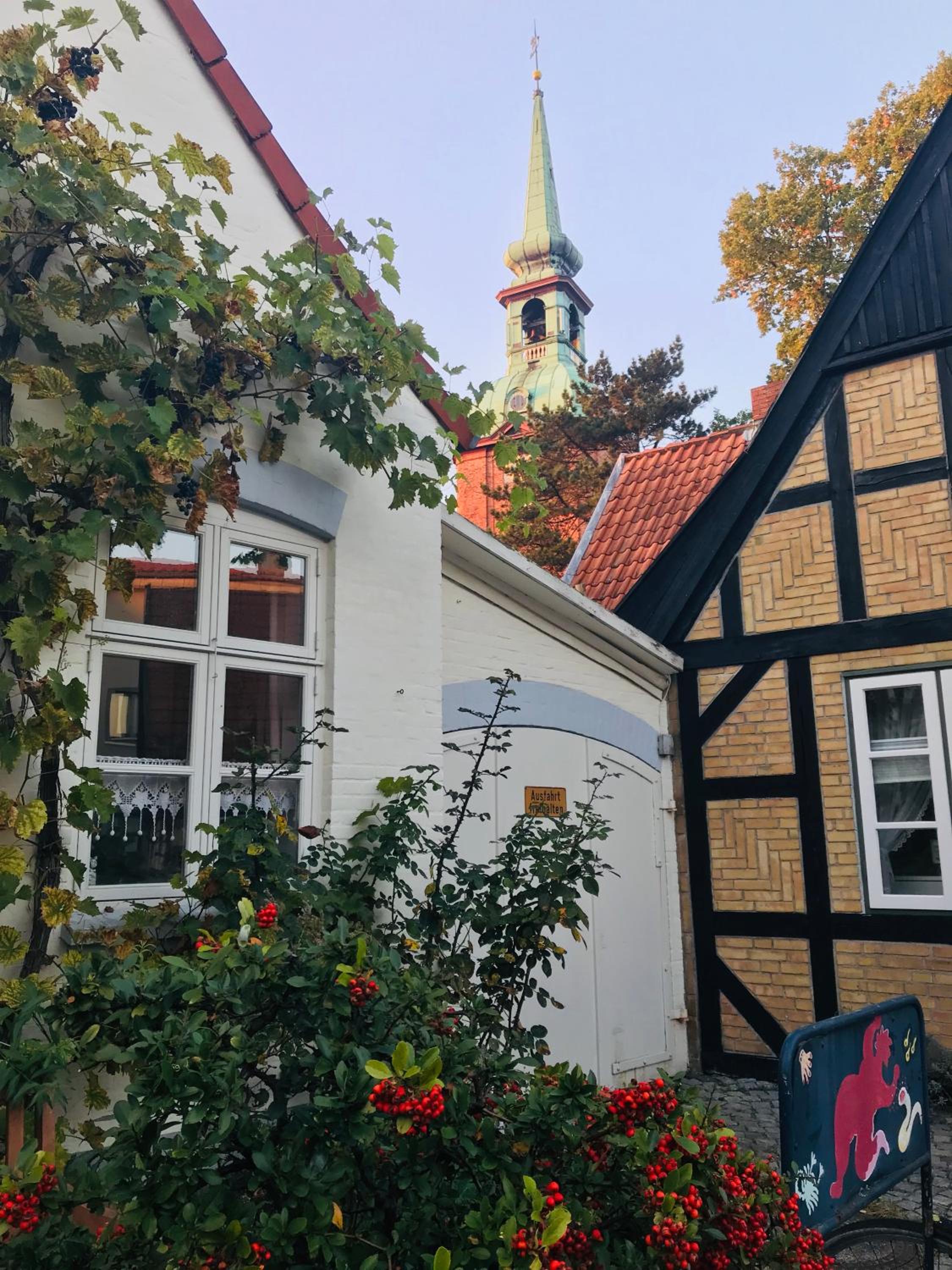 Ferienhaus Seemöwe