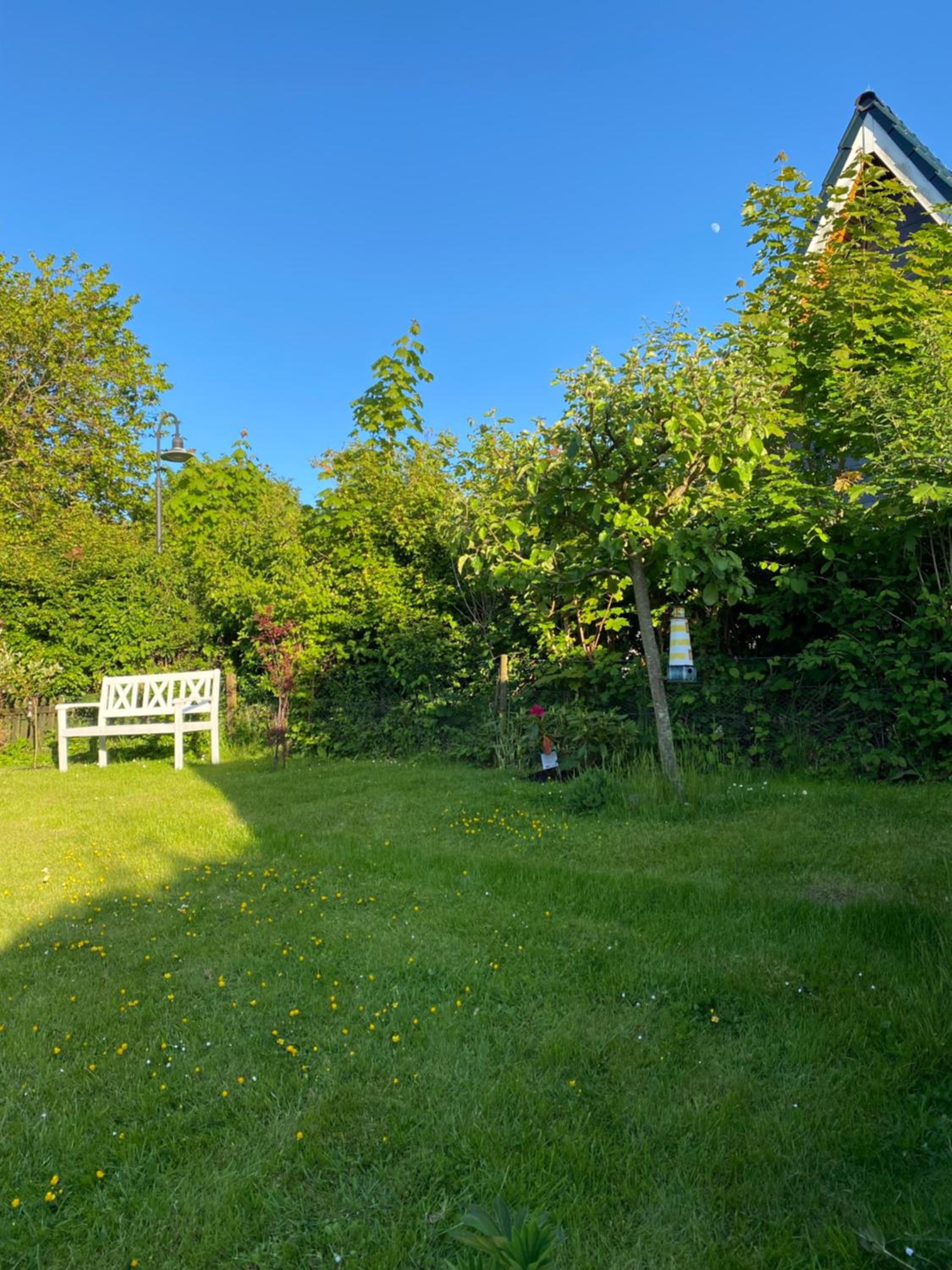 Ferienhaus Seemöwe