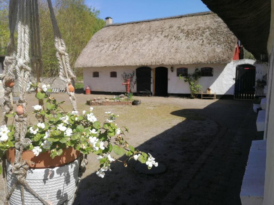 Gemütliches Reetdachhaus mit Kaminofen
