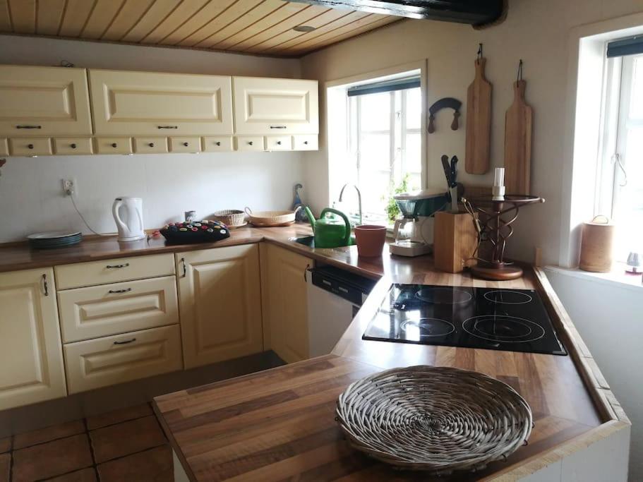 Gemütliches Reetdachhaus mit Kaminofen