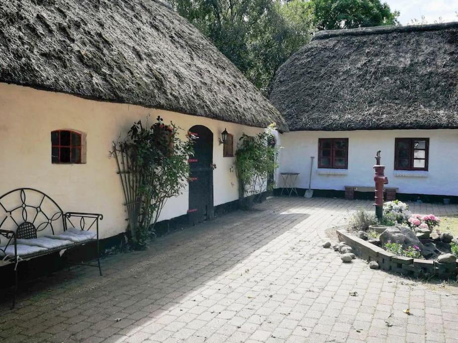 Gemütliches Reetdachhaus mit Kaminofen