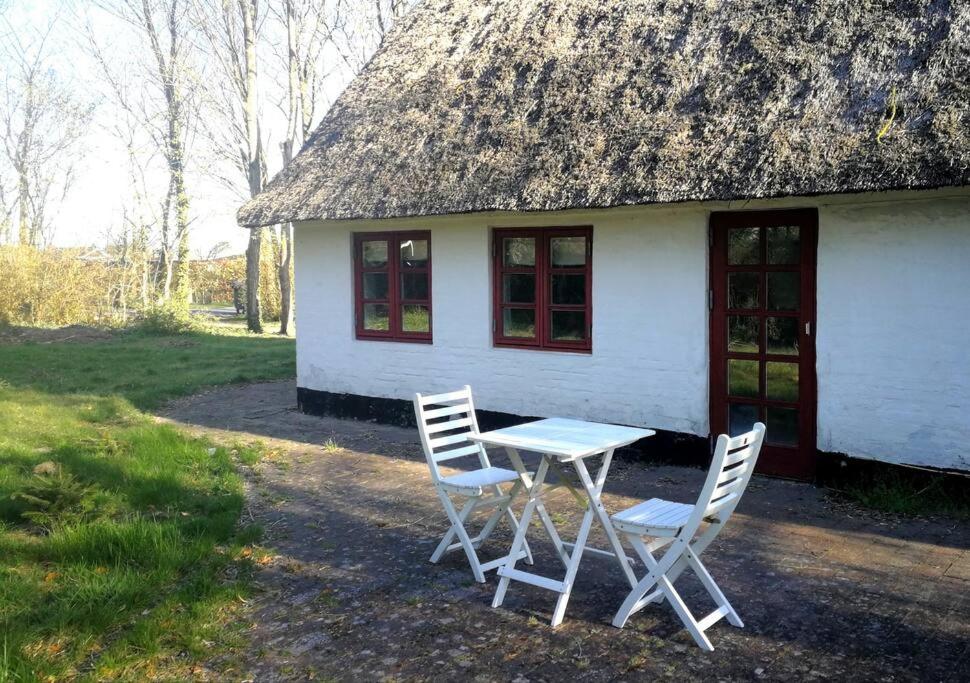 Gemütliches Reetdachhaus mit Kaminofen