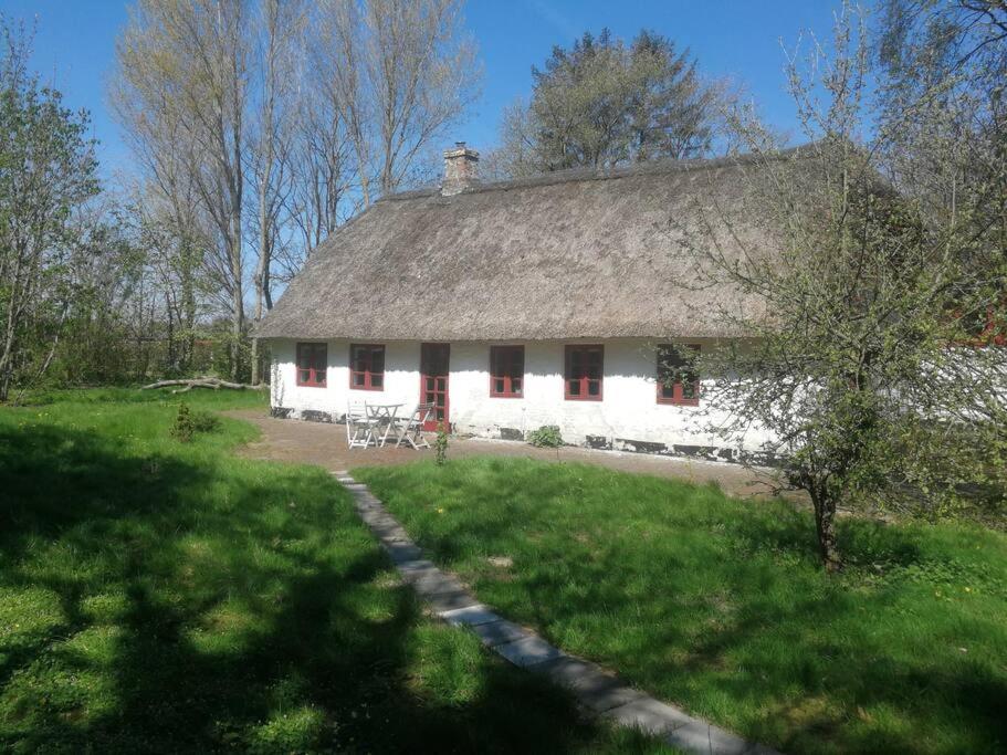 Gemütliches Reetdachhaus mit Kaminofen