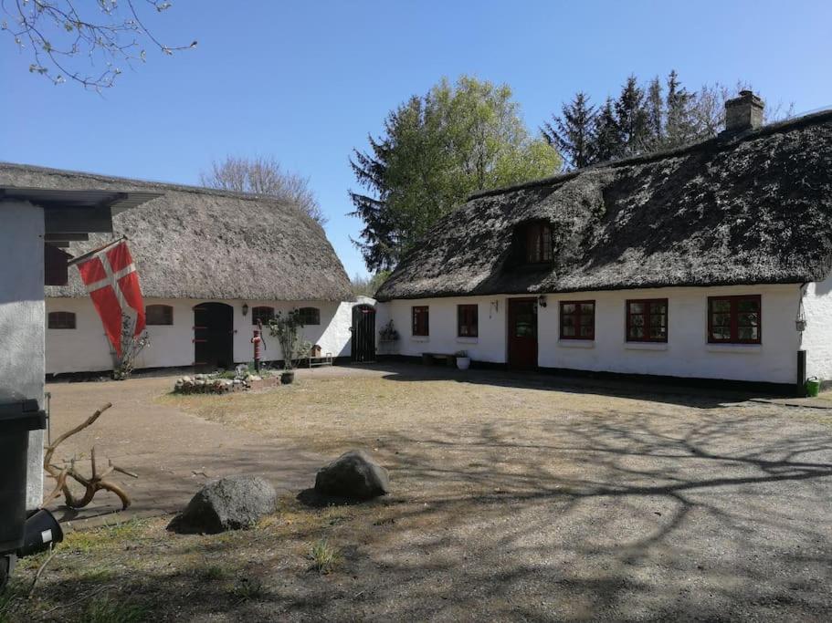 Gemütliches Reetdachhaus mit Kaminofen