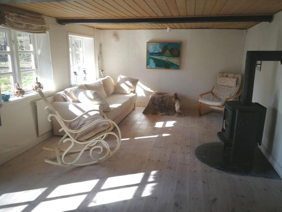 Gemütliches Reetdachhaus mit Kaminofen