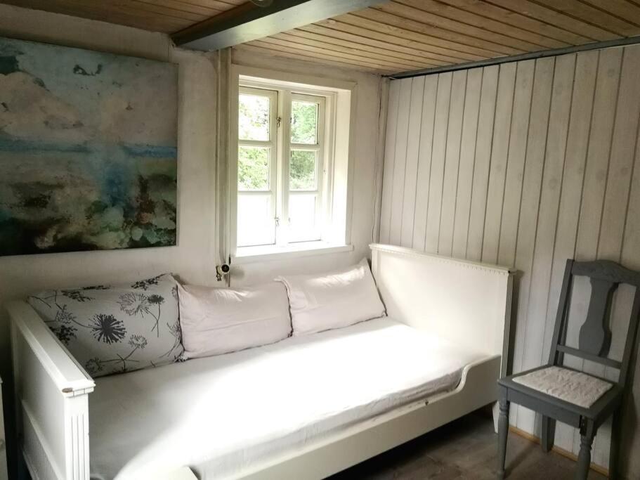 Gemütliches Reetdachhaus mit Kaminofen