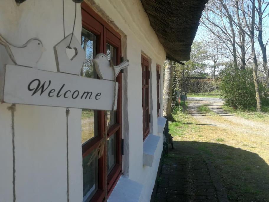 Gemütliches Reetdachhaus mit Kaminofen