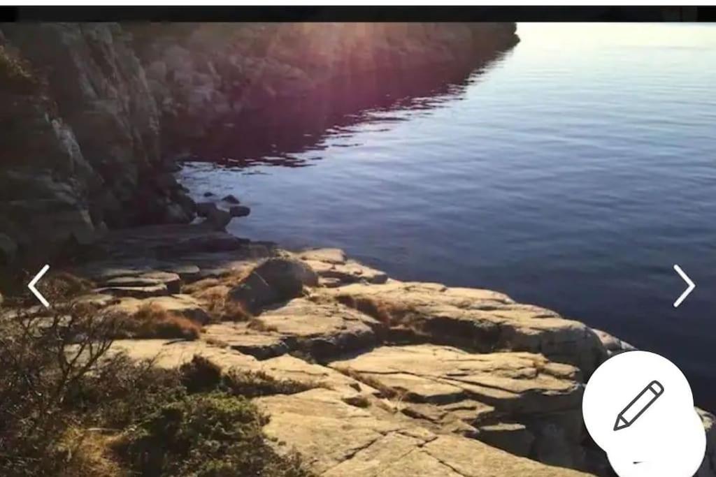 Austefjorden Fjordsuite med Panoramautsikt