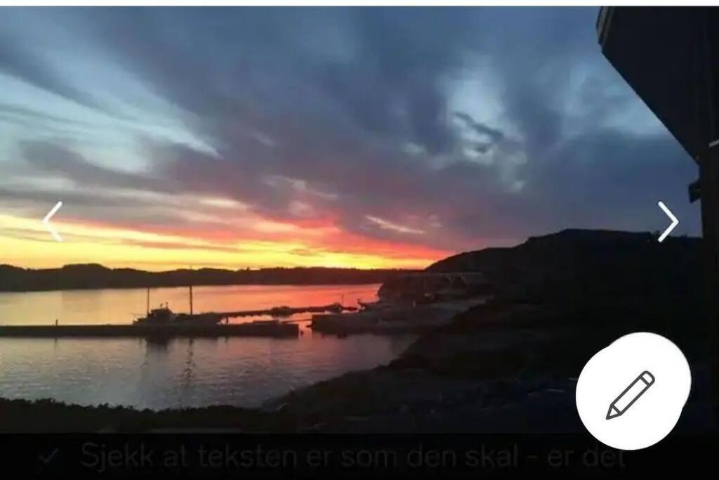 Austefjorden Fjordsuite med Panoramautsikt