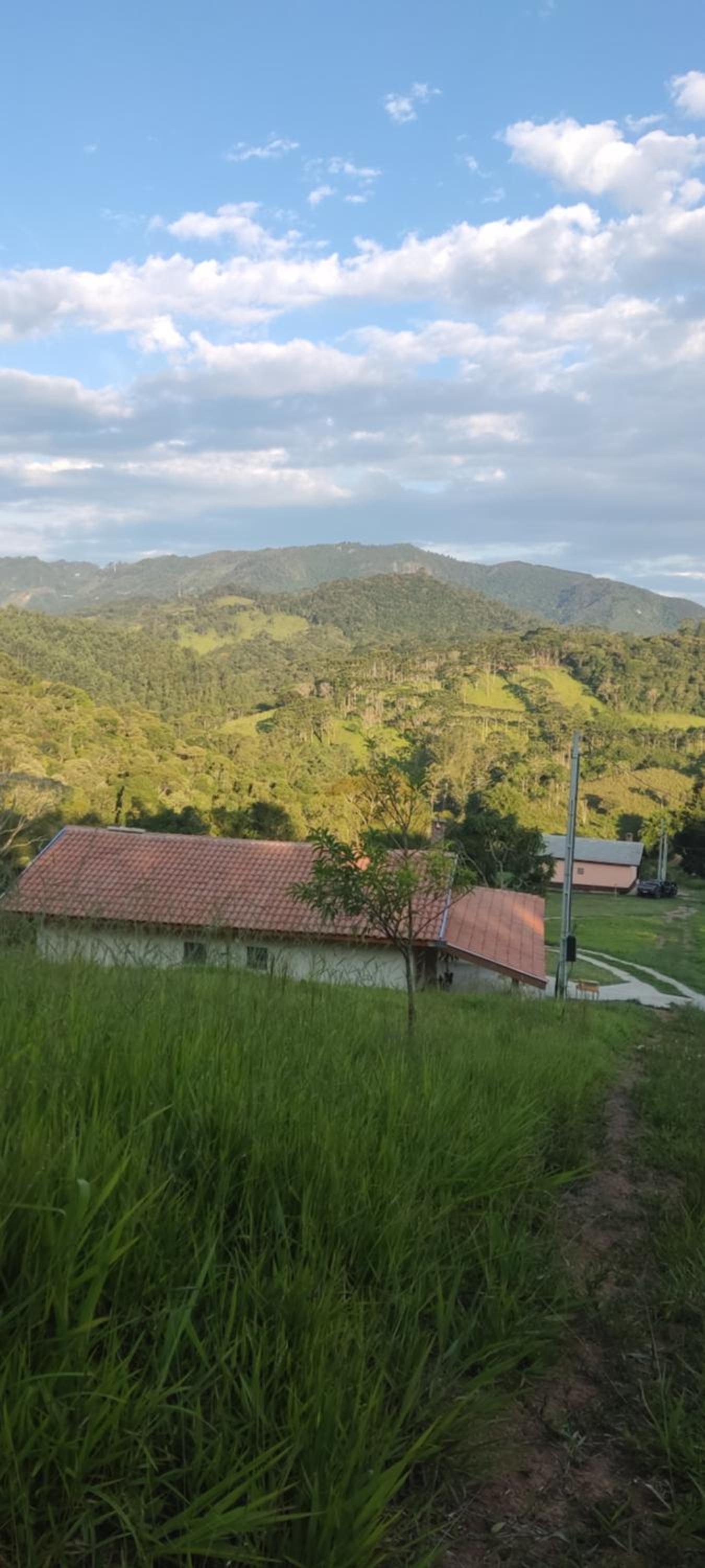 Estrela da Montanha 2