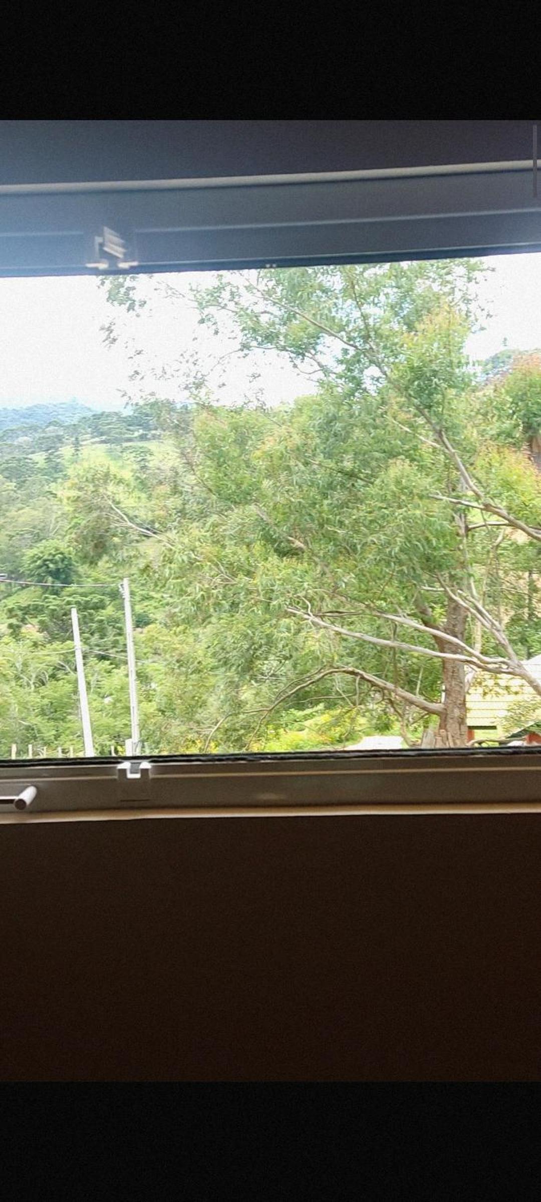 Estrela da Montanha 2