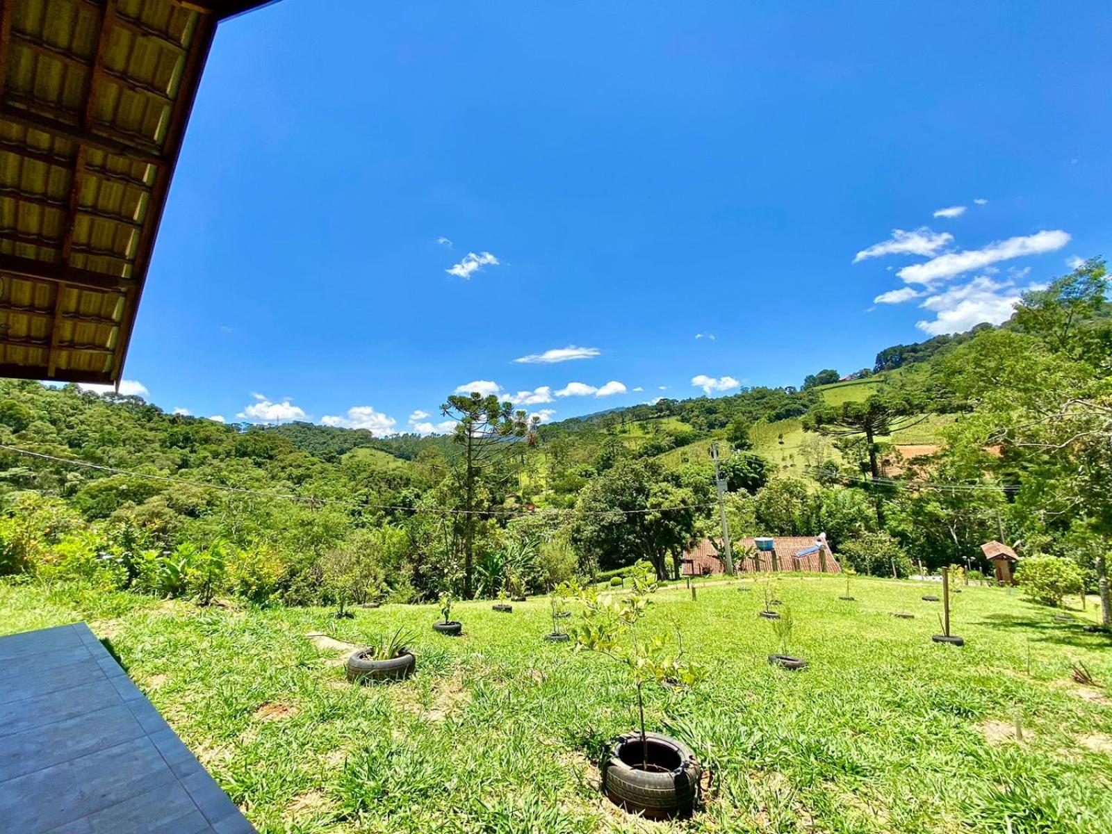 Estrela da Montanha 2