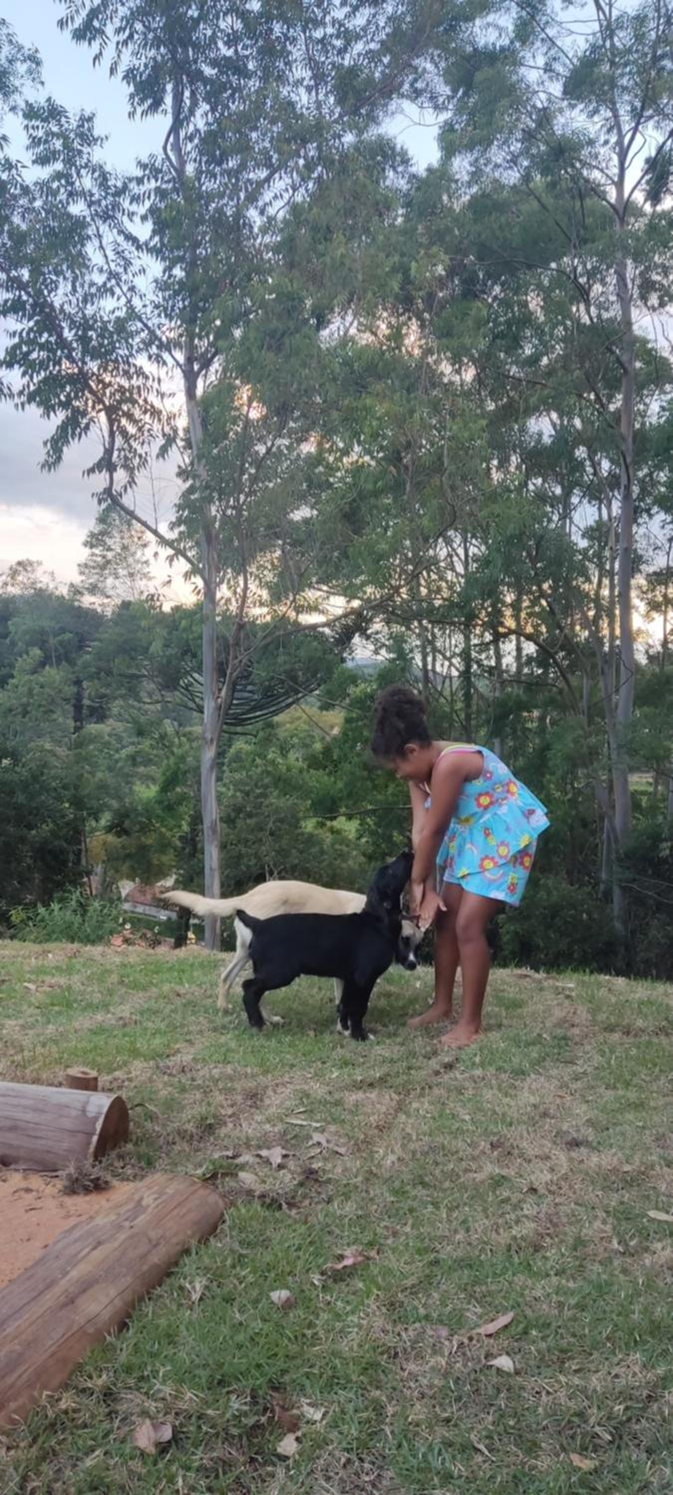 Estrela da Montanha 2