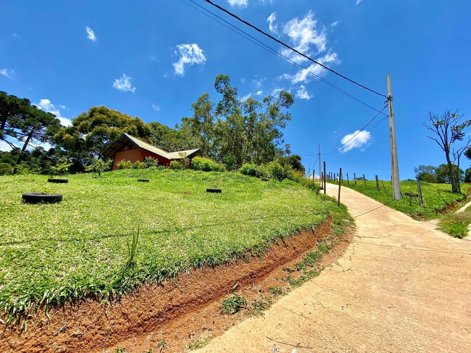 Estrela da Montanha 2