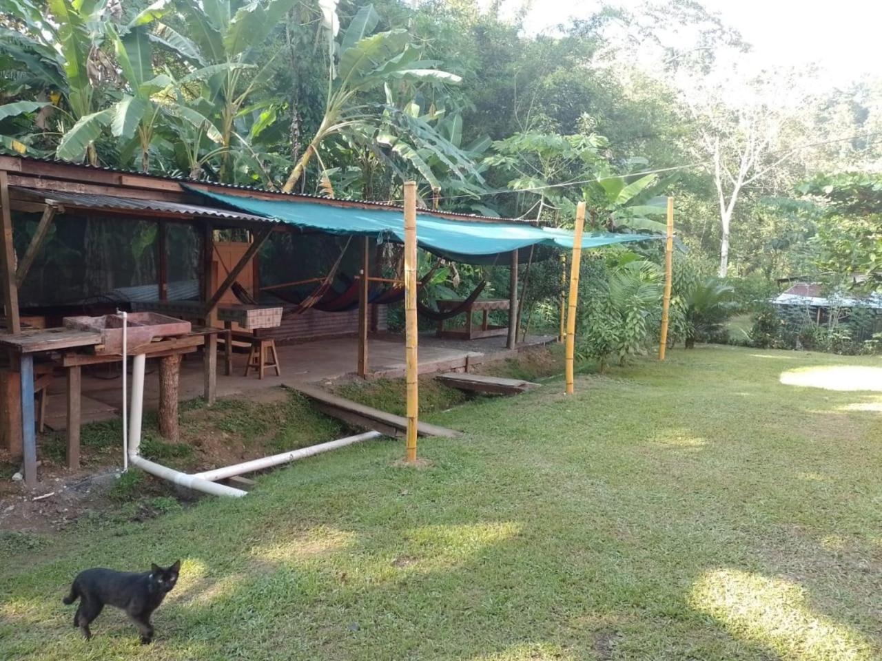 Casa River Camping