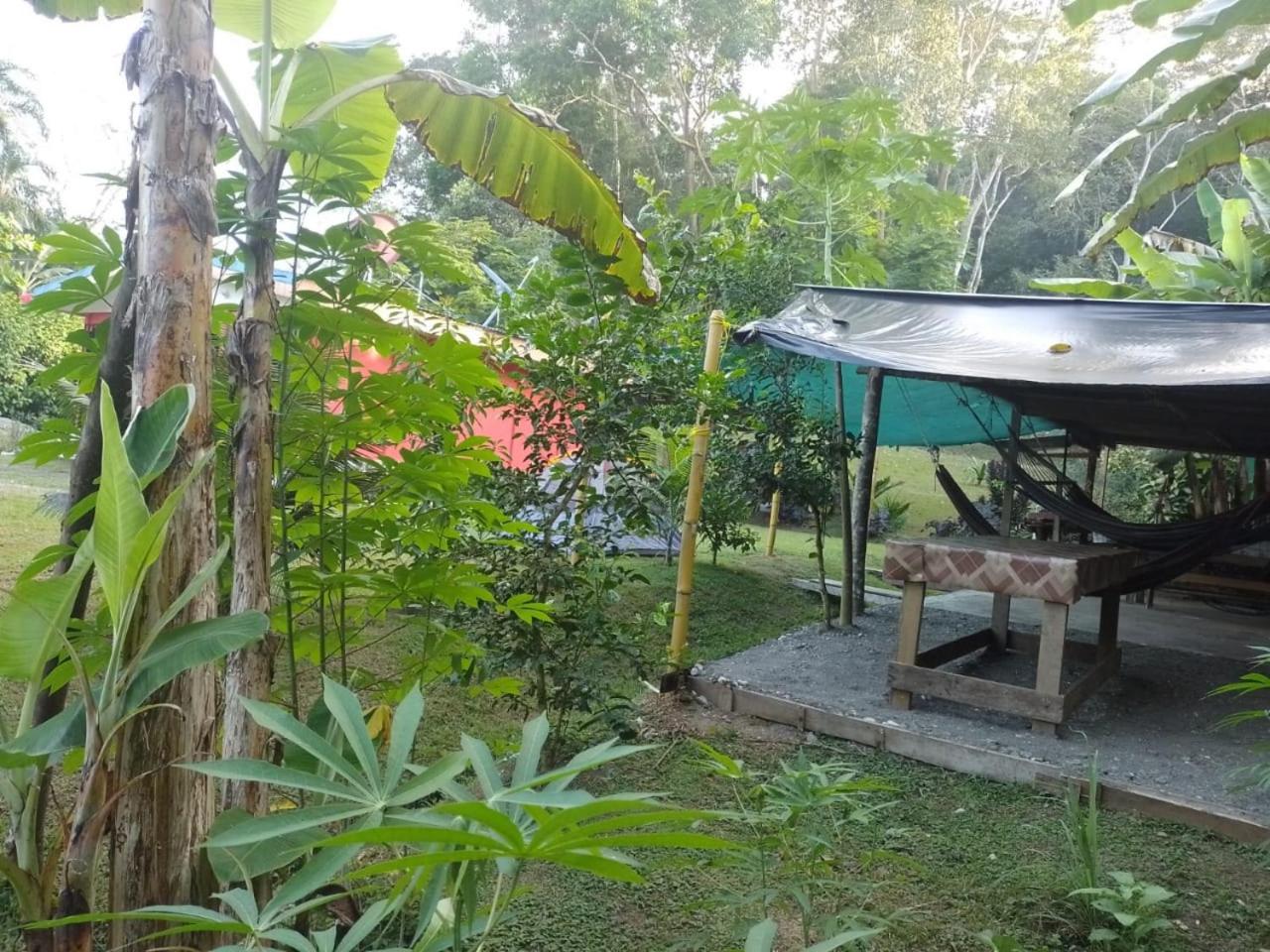 Casa River Camping