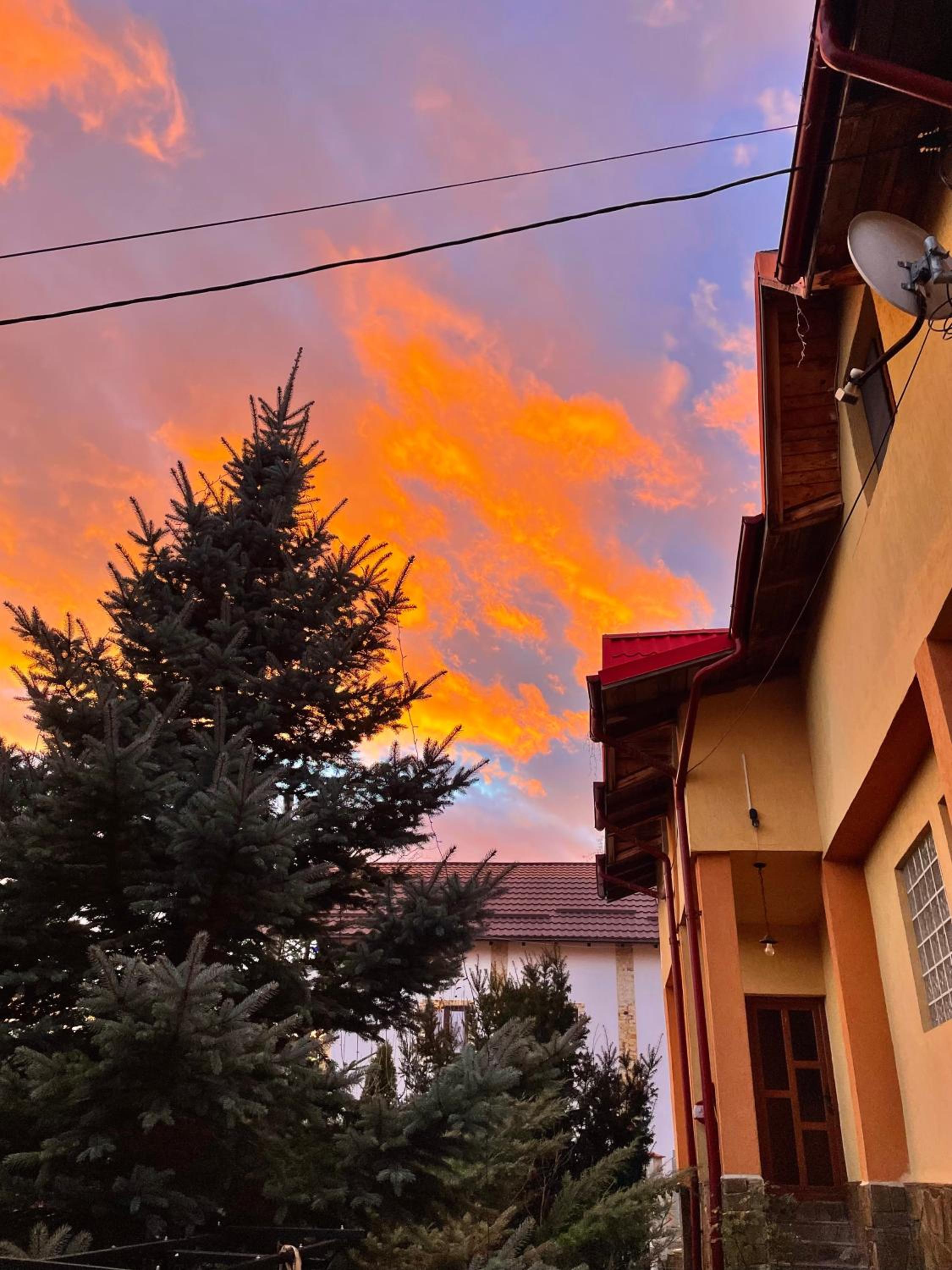 Photo 109