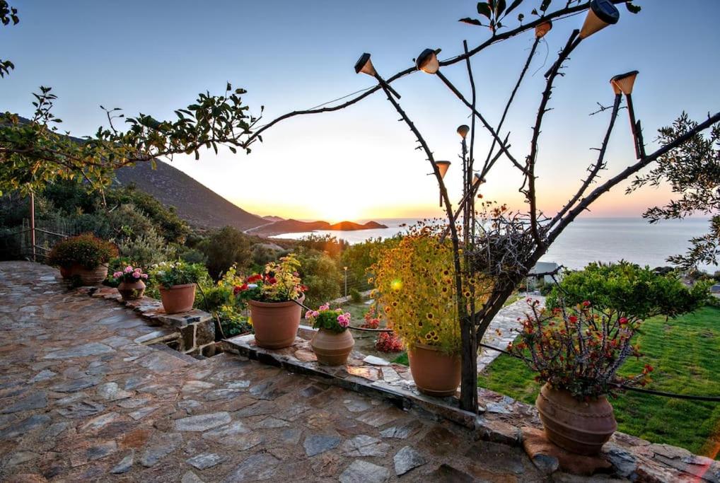 Traditional Cretan Style Villa