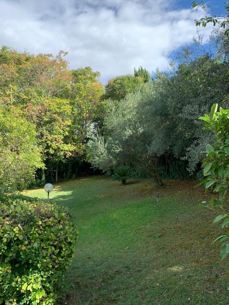 Aurelia House Garden