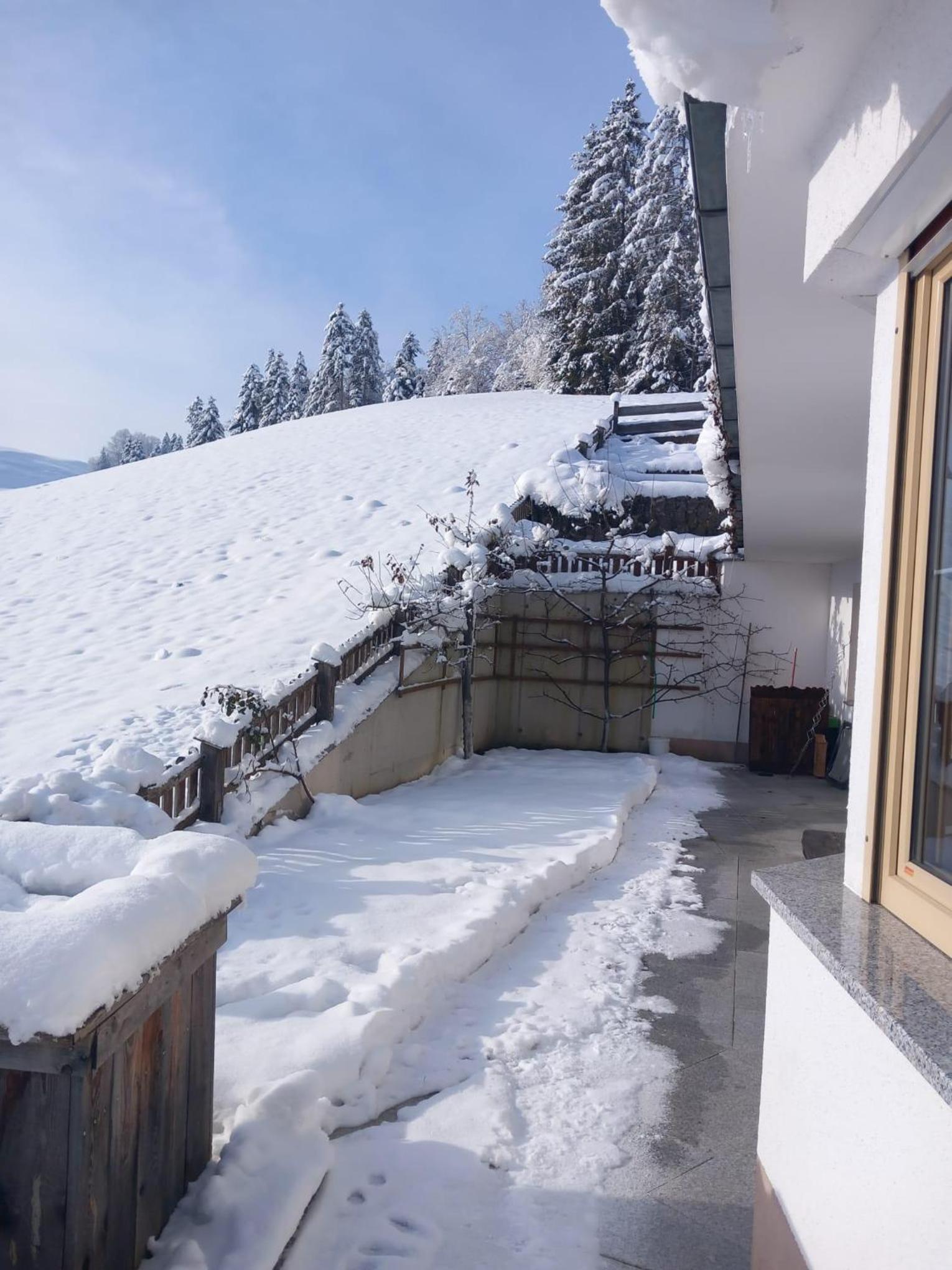 Haus am Waldrand