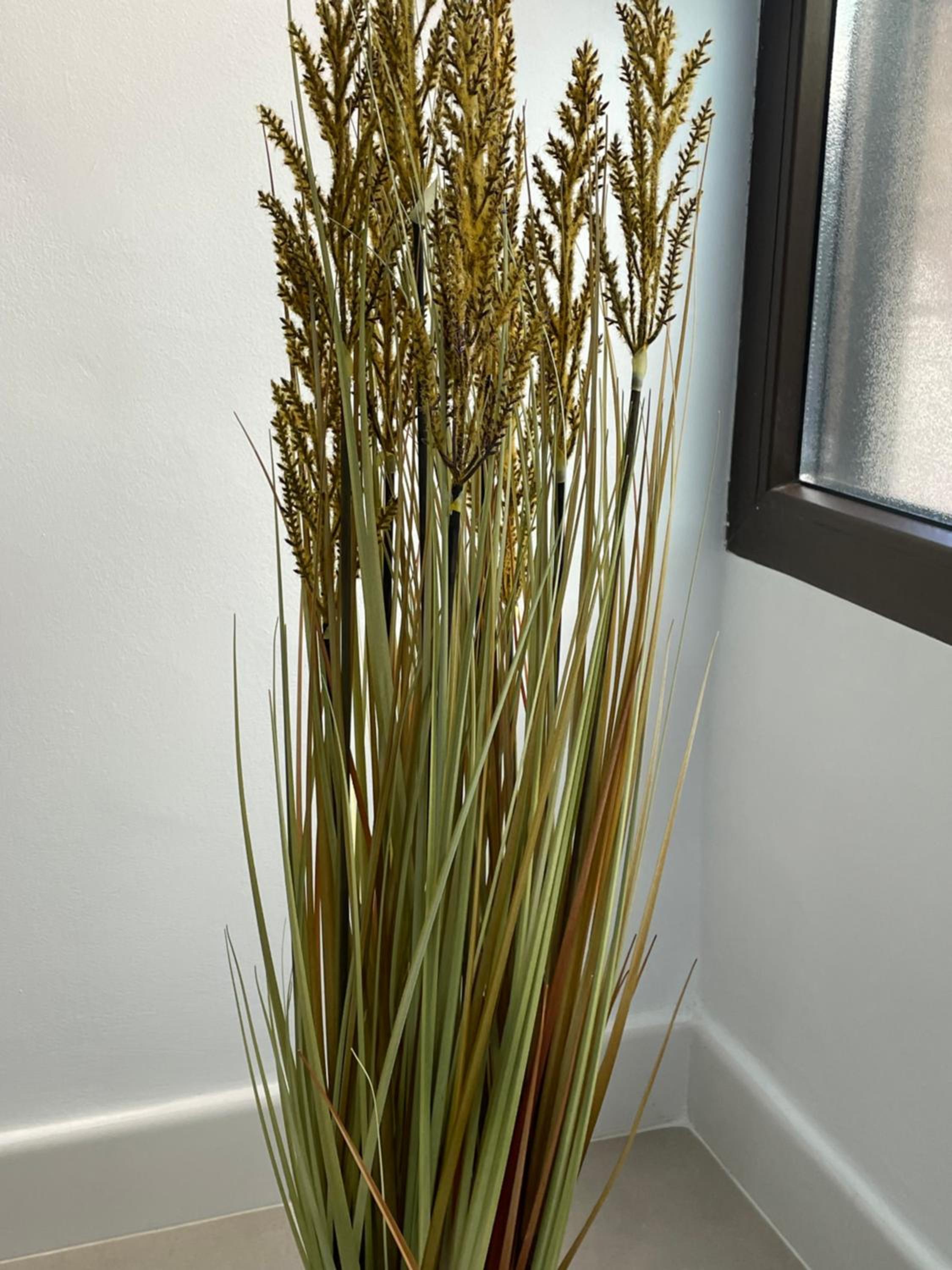 Fantástico apartamento Trajano Parking gratuito