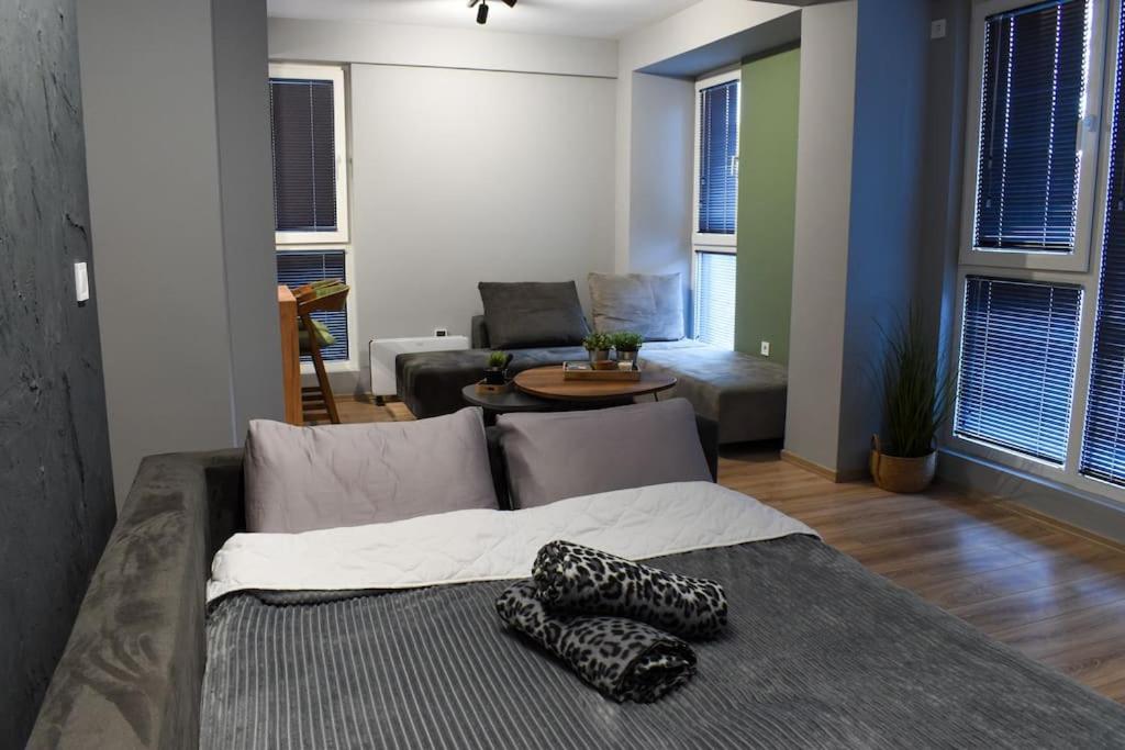 The Royal Pine Apartment Mavrovo view 5