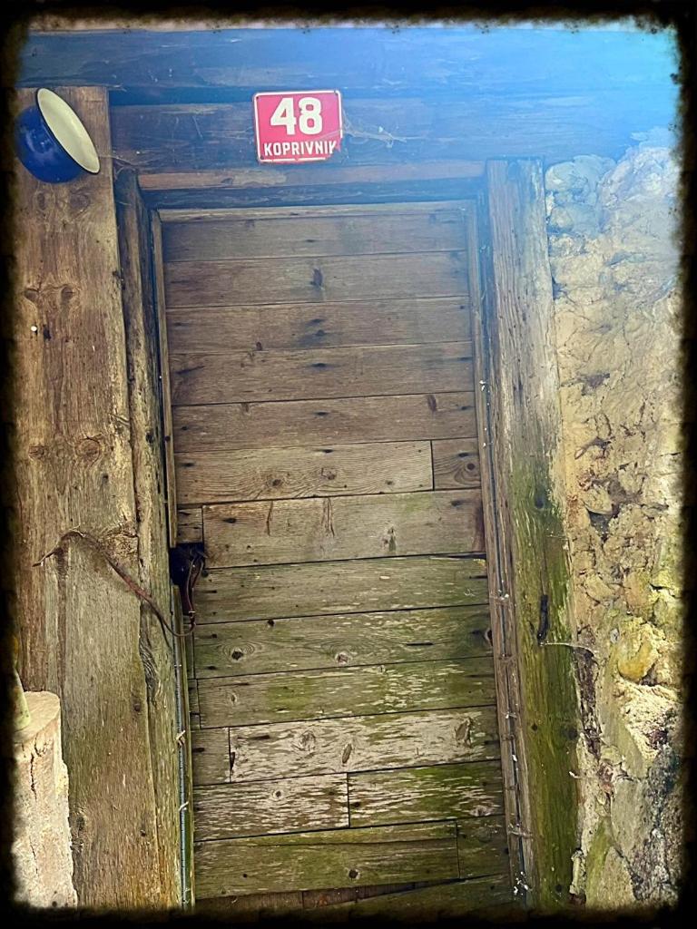 Hiška pri Vrjaku view 2
