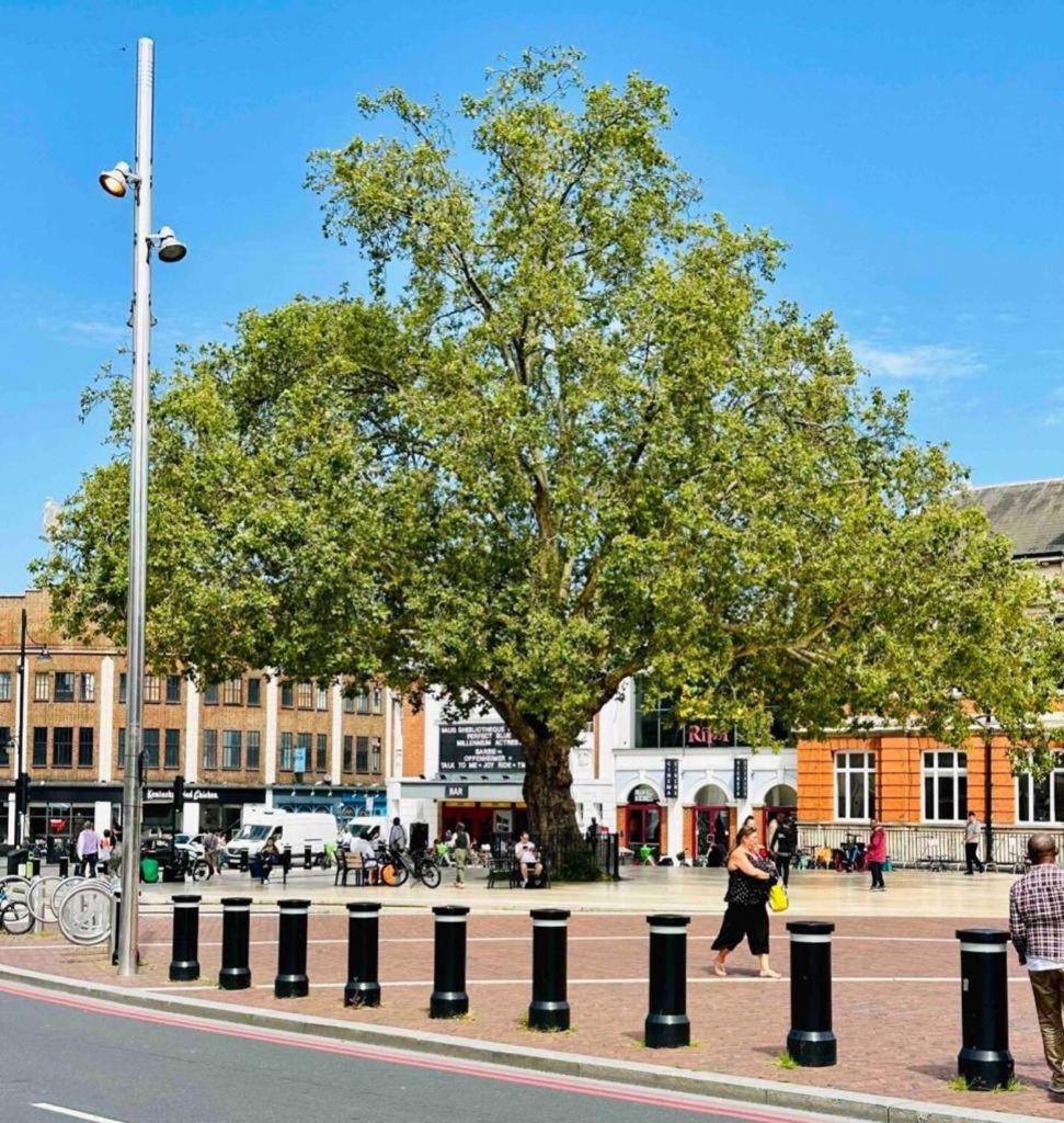 Stylish 2 Bedrooms Flat Sleeps 6 & Garden London Zone 2 cls Central