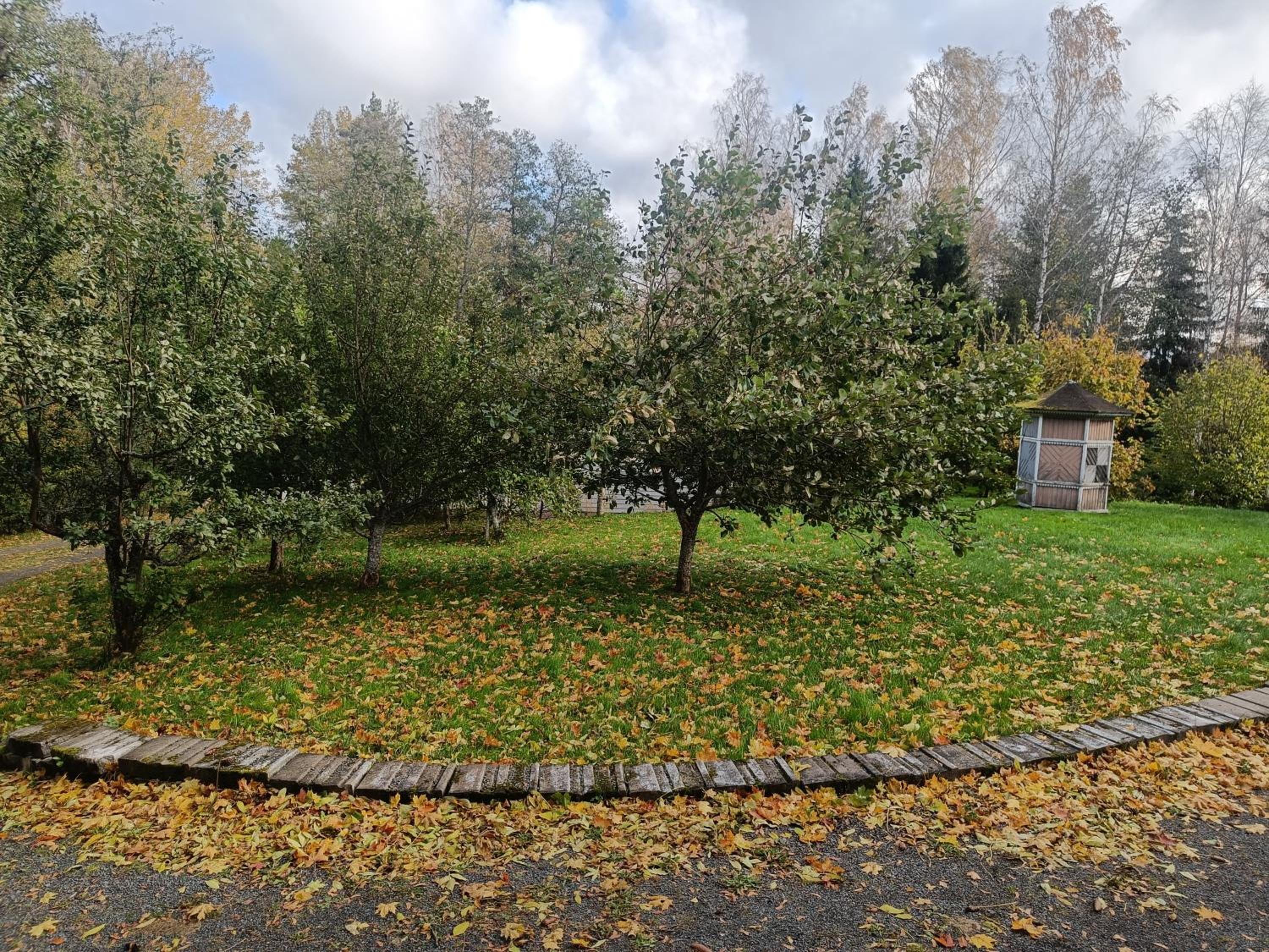Villa Onnela Ämttöö