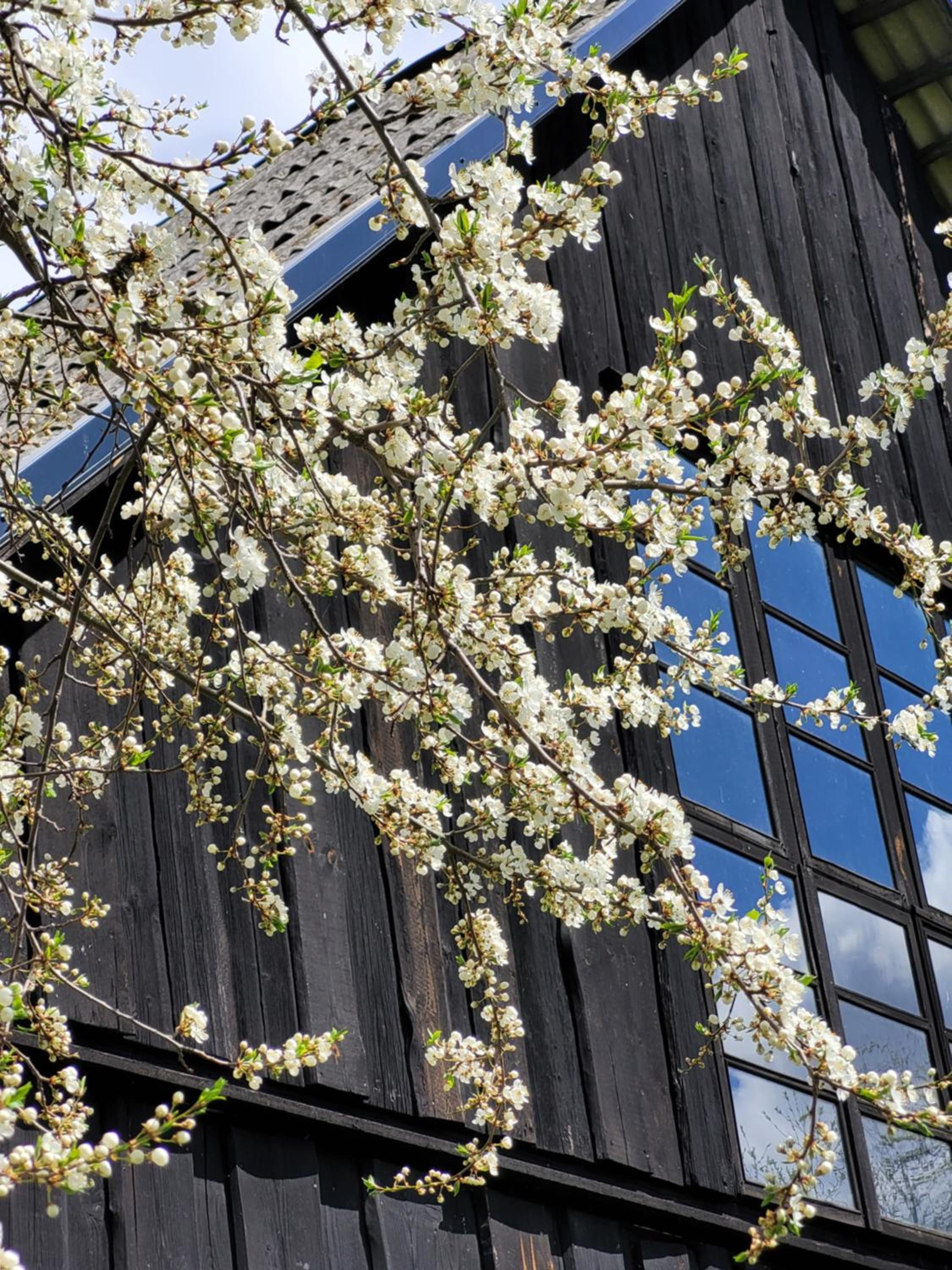 Photo 35