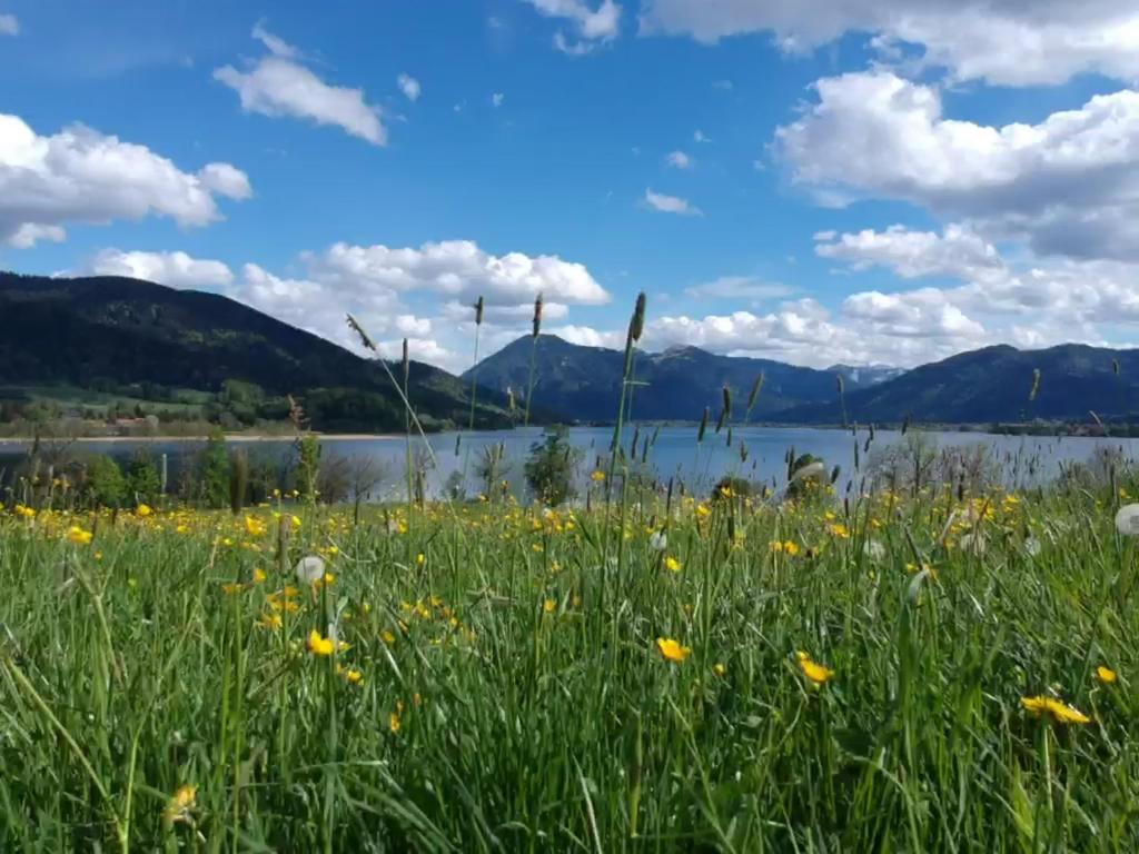 Tegernsee Suites