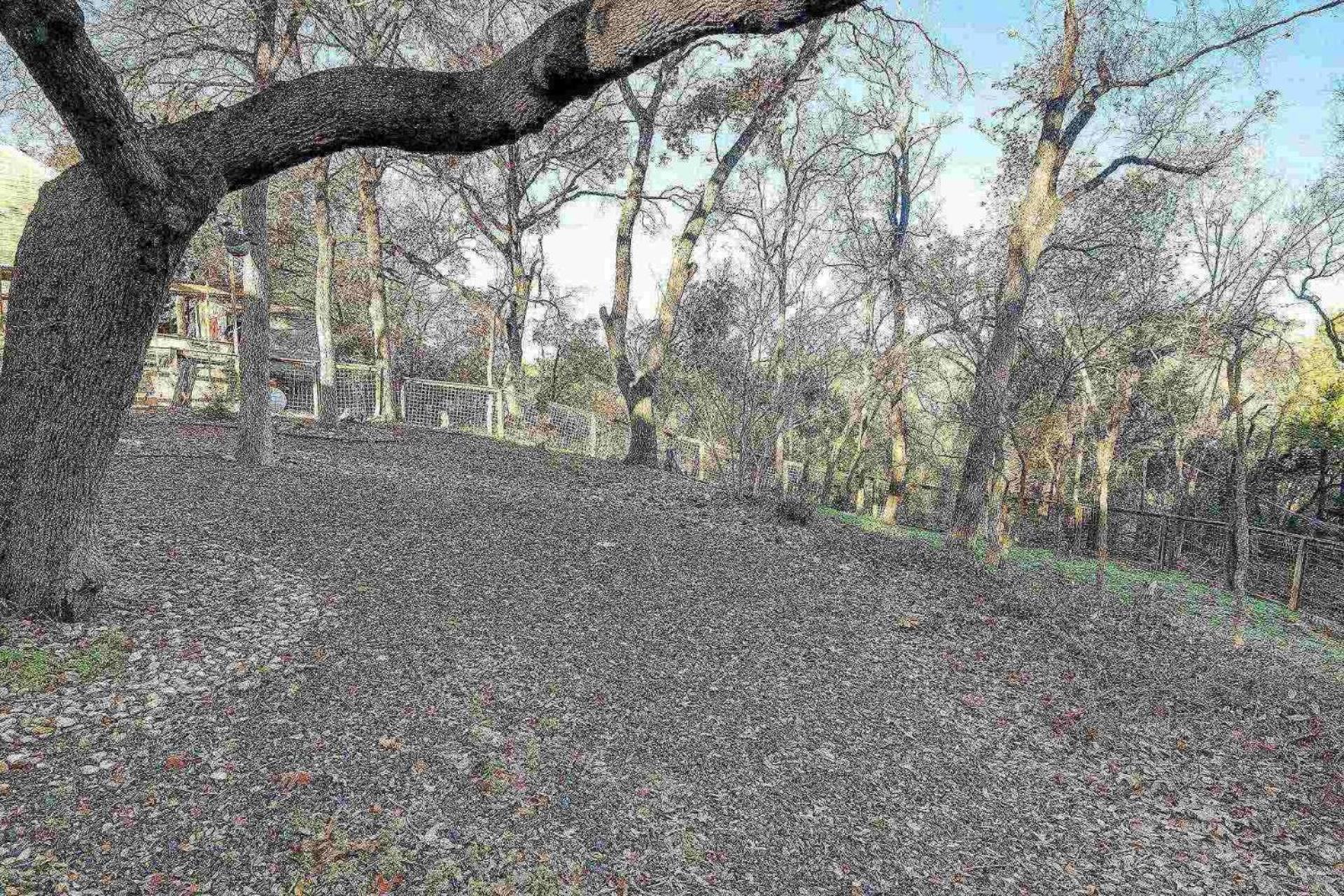 Georgetown Trails