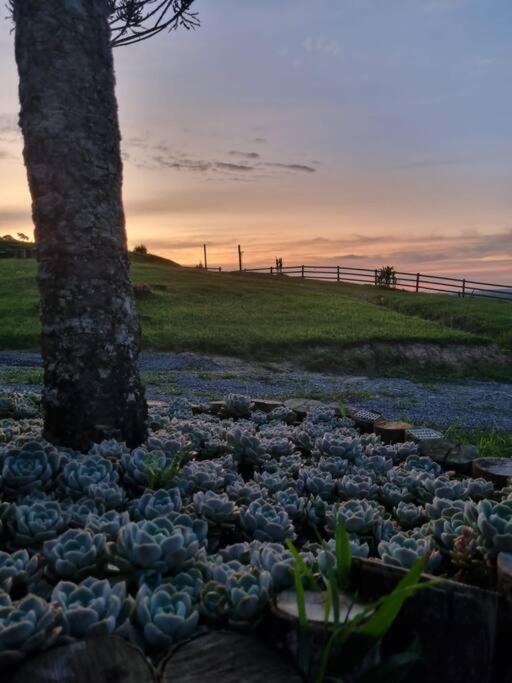 Cabana na montanha, com hidro e vista espetacular.