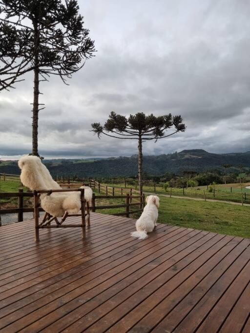 Cabana na montanha, com hidro e vista espetacular.