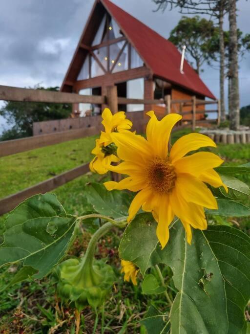 Cabana na montanha, com hidro e vista espetacular.