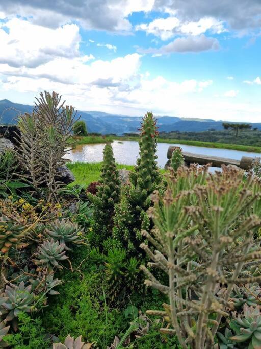 Cabana na montanha, com hidro e vista espetacular.