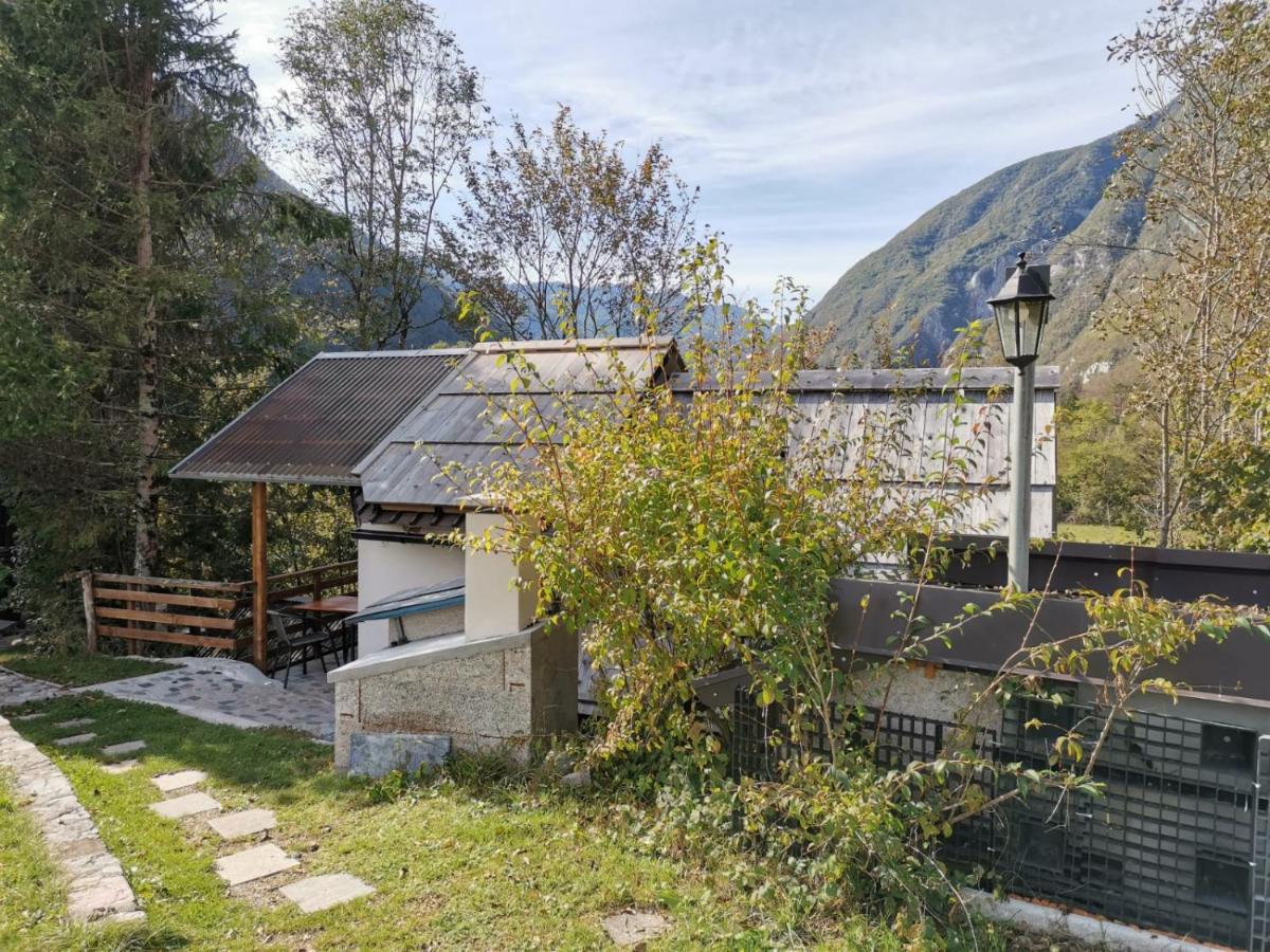 Glamping Narnia view 3