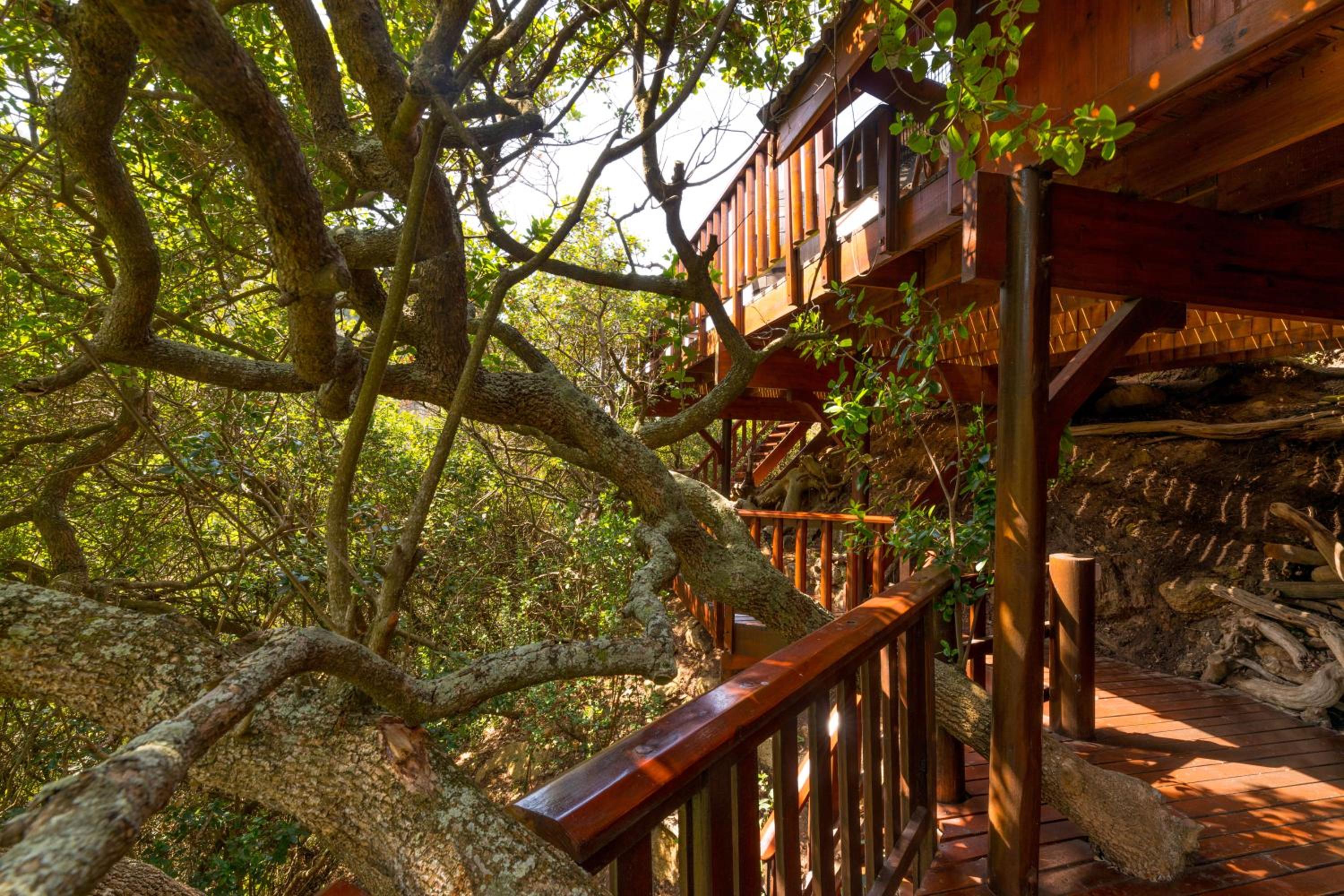 Ballots Bay Treehouse view 4