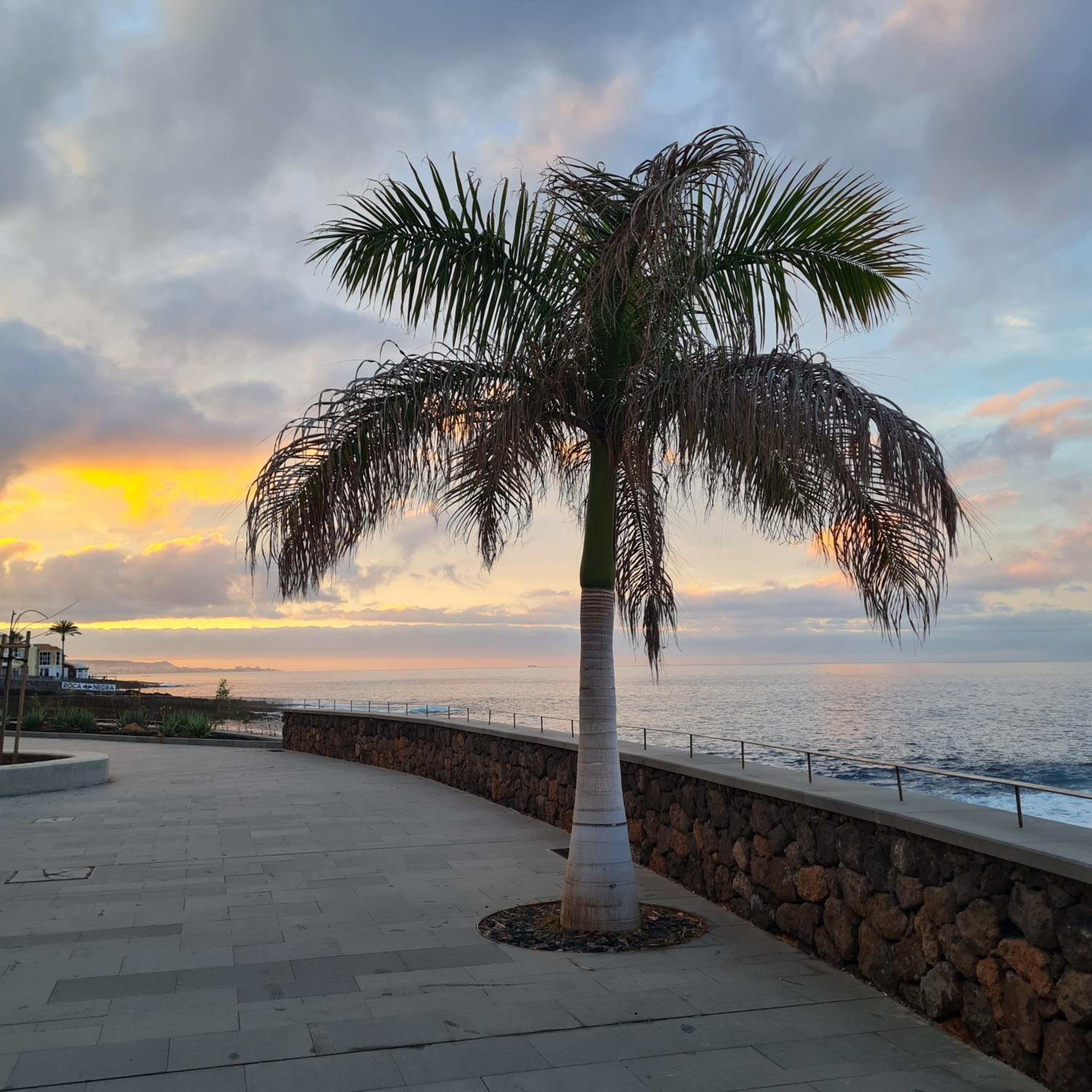 SunShine Paraiso