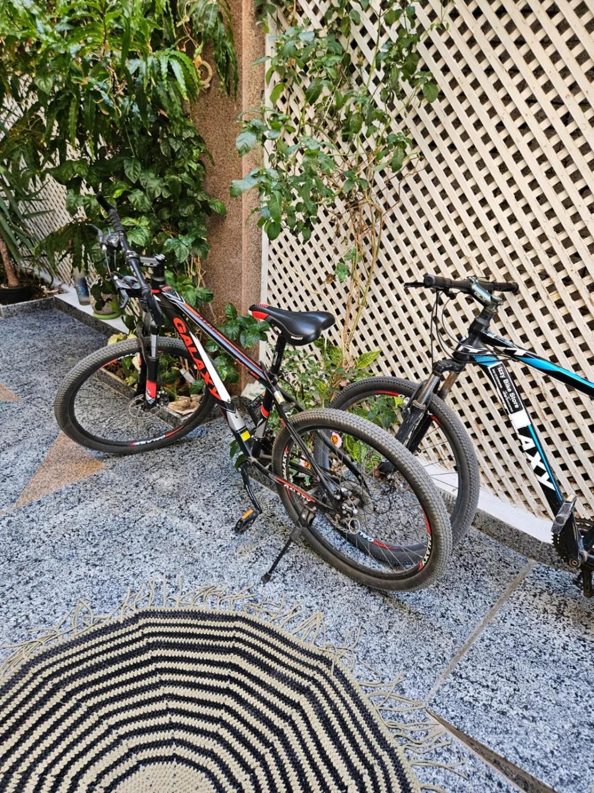 Gina Motel Dahab - Image 5