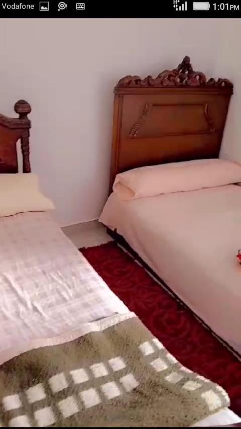 Sunny and cozy room for girls