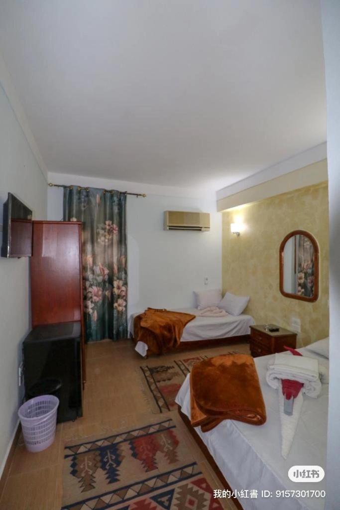 Gina Motel Dahab - Image 4