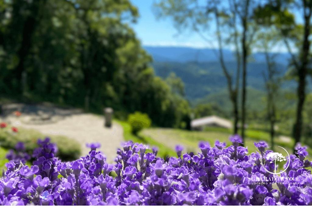 Cabana da fada com Spa e vista para lavandas
